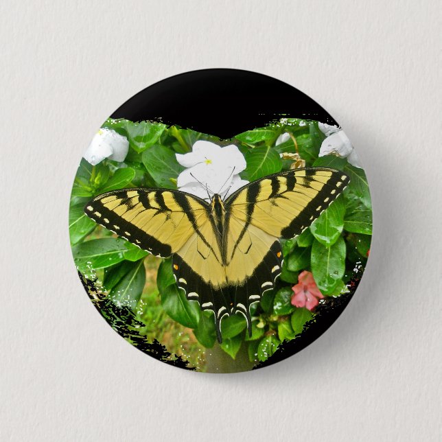 Birthday Tiger Swallowtail Butterfly Items 6 Cm Round Badge (Front)