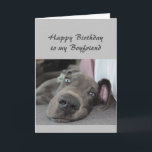 Birthday to my Boyfriend Fun Dog Relax Humor Card<br><div class="desc">Happy Birthday to my Boyfriend definition of Relax Humor Greeting with cute relaxing Great Dane Dog</div>