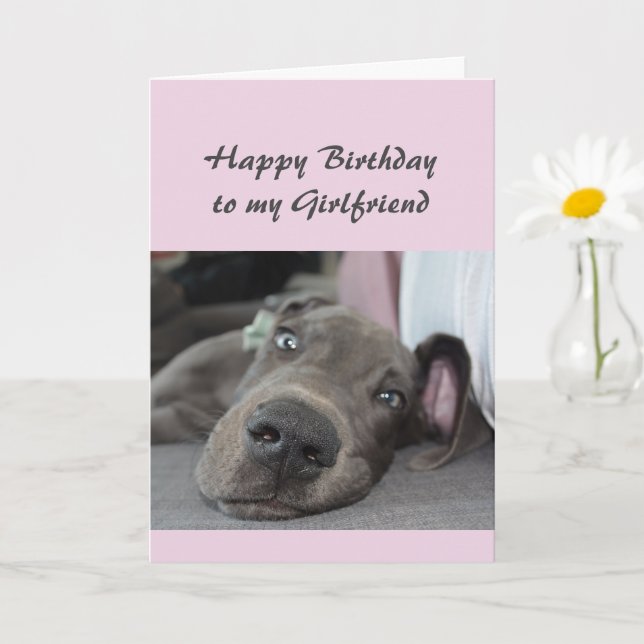 Birthday to my Girlfriend Fun Dog Relax Humor Card (Small Plant)