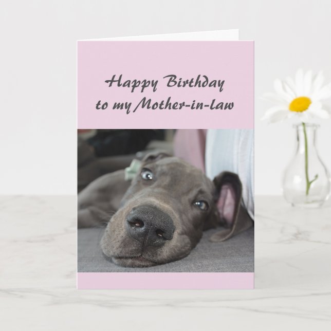 Birthday to my Mother-in-law Fun Dog Relax Humour Card (Small Plant)