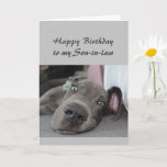 Birthday to my Son-in-law  Fun Dog Relax Humour Card<br><div class="desc">Happy Birthday to my Son-in-law definition of Relax Humour Greeting with cute relaxing Great Dane Dog</div>