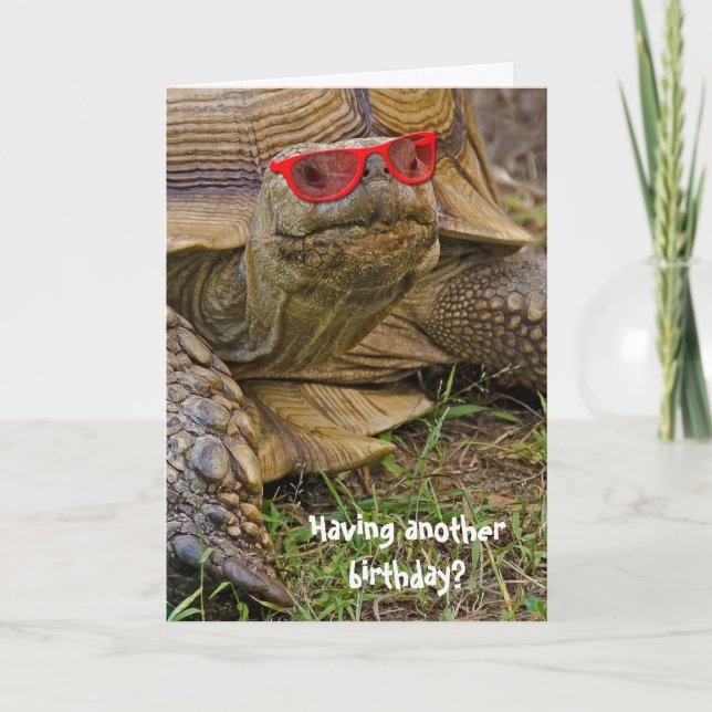 Birthday tortoise in sunglasses card (Front)
