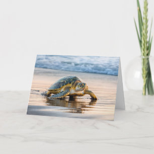 Birthday Turtle Walking On a Beach Card