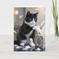 Birthday Tuxedo Cat Playing with a Tissue Box
