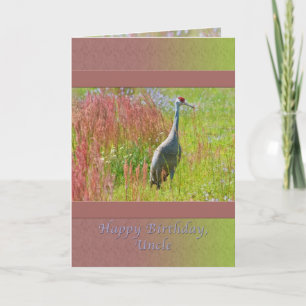 Birthday, Uncle,  Sandhill Crane Bird Card