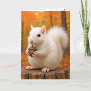 Birthday White Squirrel Holding an Acorn Card