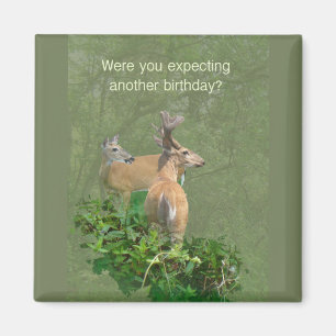 Birthday Whitetail Deer Buck & Doe Magnet