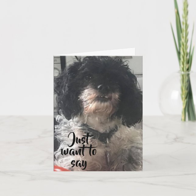 BIRTHDAY WISH IS FOR U TO GET A BONE/A STEAK CARD (Front)