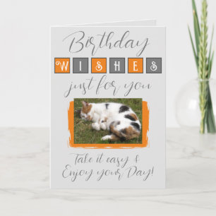 Birthday wishes add cat photo grey orange card