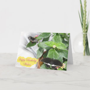 Birthday Wishes- Butterfly Card