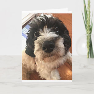 BIRTHDAY WISHES FOR A *BEST FRIEND* IN ALL WAYS CARD