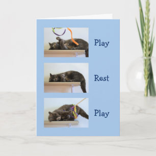 Birthday Wishes for Cat People Card