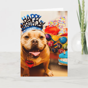 Birthday wishes from Betsy Bully Card