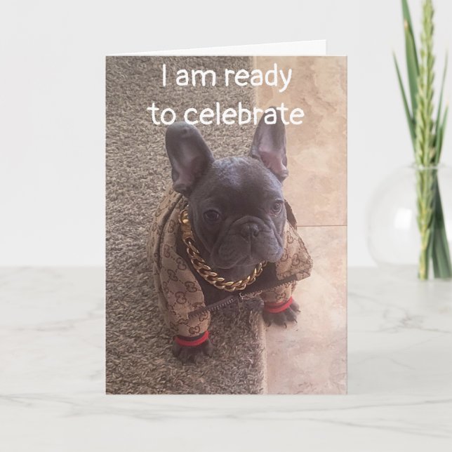 BIRTHDAY WISHES FROM ONE COOL DOG CARD (Front)