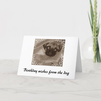 Birthday wishes from the dog card