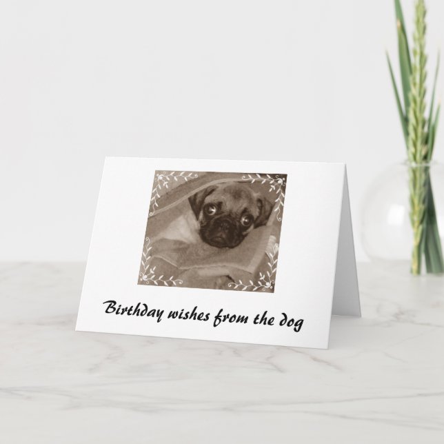 Birthday wishes from the dog card (Front)