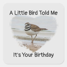 Birthday Wishes Little Bird Humourous Envelope Sea