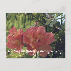 Birthday Wishes Roses Postcard