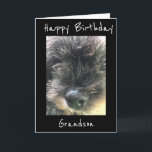BIRTHDAY WISHES TO **GRANDSON** CARD<br><div class="desc">HAVE FUN SENDING OR GIVING THIS CARD FOR HE WILL LOVE RECEIVING IT FROM "YOU" FOR SURE. I LOVE THIS LINE OF CARDS AND I THANK YOU FOR STOPPING BY 1 OF MY 8 STORES.</div>
