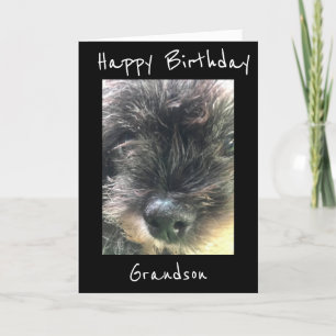 BIRTHDAY WISHES TO **GRANDSON** CARD