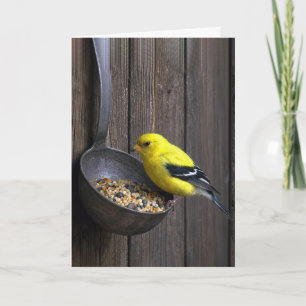 Birthday Yellow Finch on Rusty Ladle Card