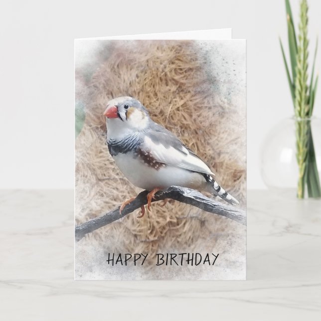 birthday-zebra finch on branch card (Front)