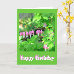 BirthdayCard, "I'm So Glad You Were Born" Card