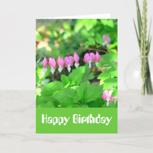 BirthdayCard, "I'm So Glad You Were Born" Card
