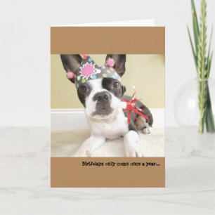 Birthdays only come once a year... Lola B. Boston Card