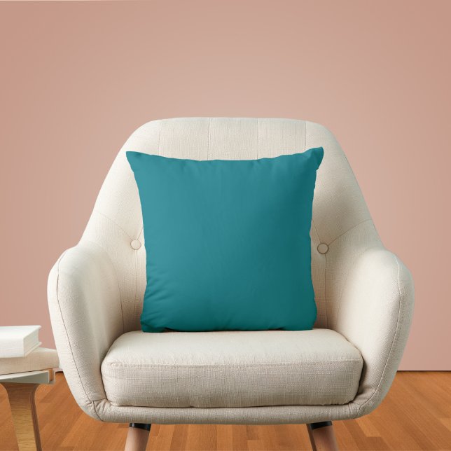 Biscay Bay Solid Colour Cushion (Creator Uploaded)