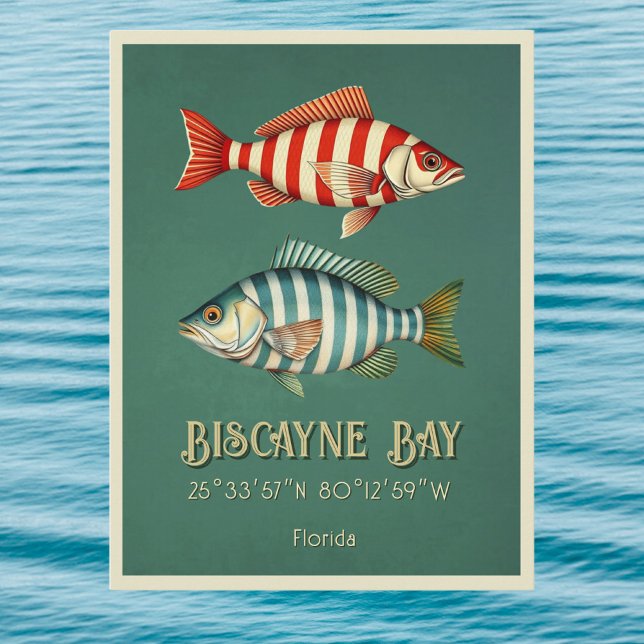 Biscayne Bay Florida fish Postcard (Creator Uploaded)