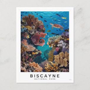 Biscayne National Park Coral Postcard