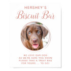 Biscuit Bar Pet Photo Rose Gold Dog Wedding Favour