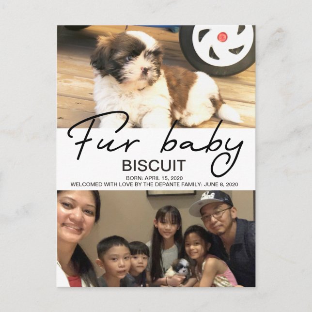 Biscuit - welcome postcard (Front)