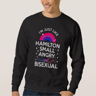 Bisexual Bi Pride Flag I'm Just Like Hamilton Smal Sweatshirt
