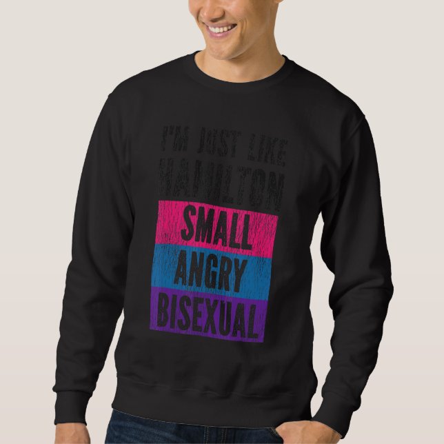 Bisexual Bi Pride Flag I'm Just Like Hamilton Smal Sweatshirt (Front)