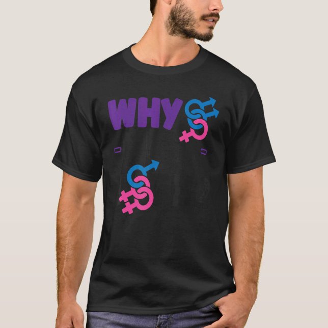 Bisexual Bi Pride Flag Why Not Both T-Shirt (Front)
