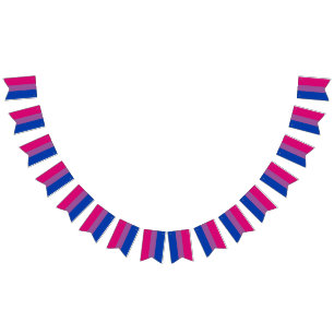 Bisexual Flag Bunting Banner LGBT Party