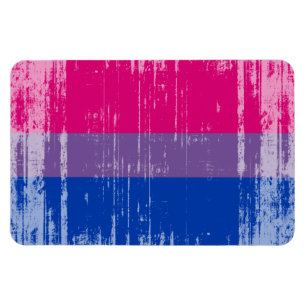 BISEXUAL FLAG DISTRESSED -.png Magnet