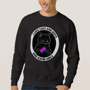 Bisexual Flag I Like Cats And Boys And Maybe Girls Sweatshirt