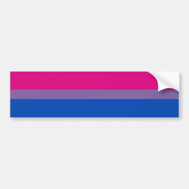 BISEXUAL PRIDE FLAG BAR BUMPER STICKER (Front)