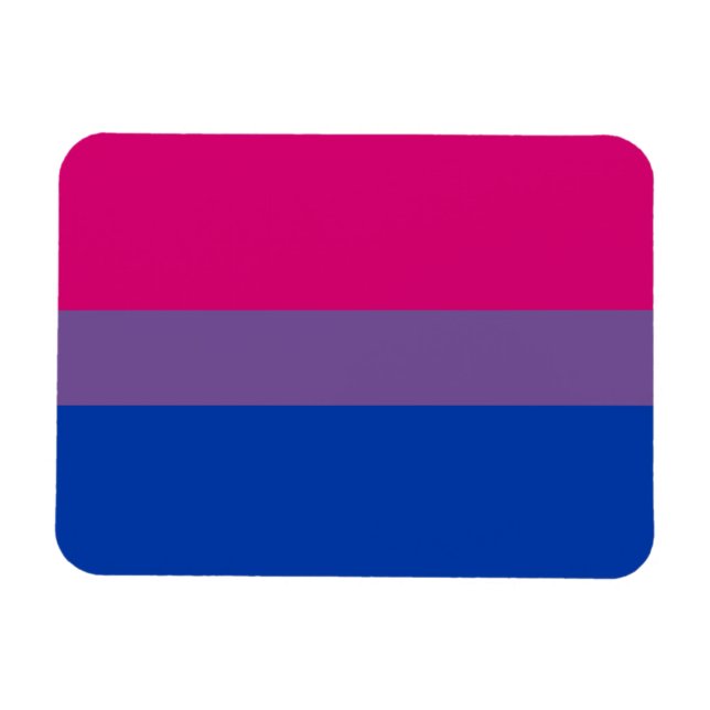 Bisexual Pride Flag Magnet (Horizontal)