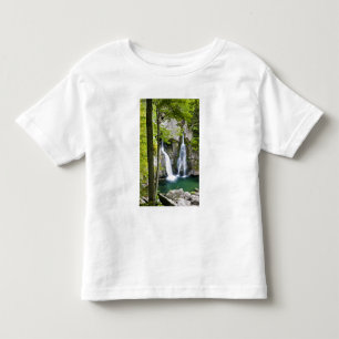 Bish Bash Falls in Bish Bash Falls State Park Toddler T-Shirt