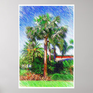 Bismarckia nobilis palm tree, colour pencil poster