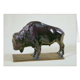 Bison, 1907