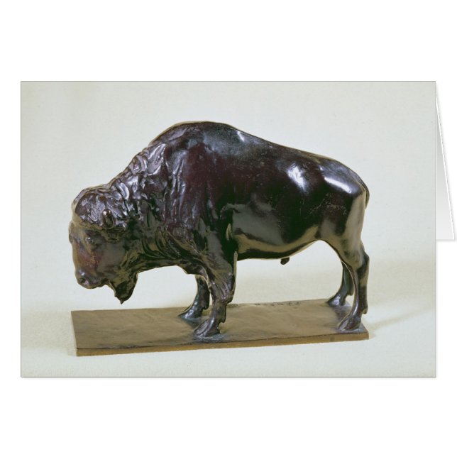 Bison, 1907 (Front Horizontal)