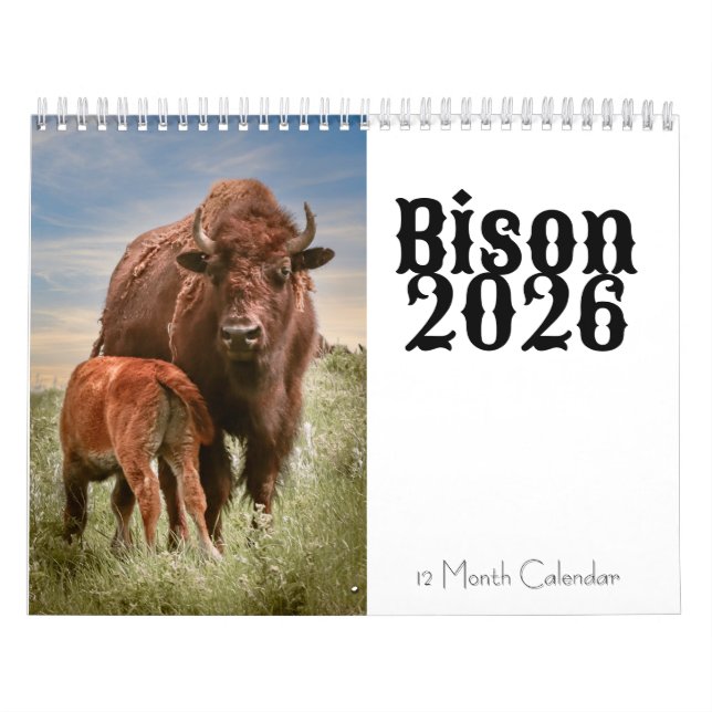 Bison 2026 12 Month Calendar (Cover)