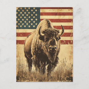 Bison American Flag vintage Postcard
