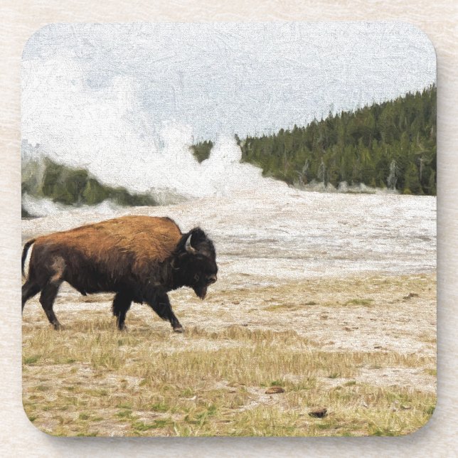 Bison and Old Faithful Coaster (Front)