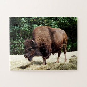 Bison animal jigsaw puzzle